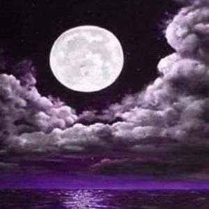 Meet your Posher, Debi